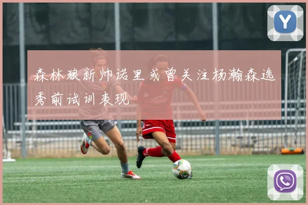 森林狼新帅诺里或曾关注杨瀚森选秀前试训表现