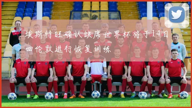 埃斯特旺确认缺席世界杯将于14日回伦敦进行恢复训练