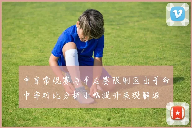 申京常规赛与季后赛限制区出手命中率对比分析小幅提升表现解读