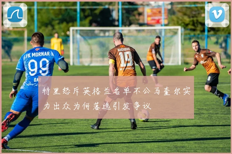 特里怒斥英格兰名单不公马奎尔实力出众为何落选引发争议